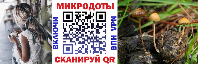 Псилоцибиновые грибы мицелий  Киржач 