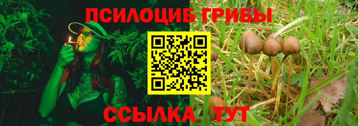 продажа наркотиков  Вход с VPN  Галлюциногенные грибы мицелий  Киржач  Галлюциногенные грибы Psilocybine cubensis 